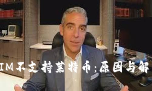 TokenIM不支持莱特币：原因与解决方案