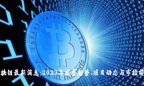 沙盒区块链最新消息：2023年发展趋势、项目动态与市场前景分析