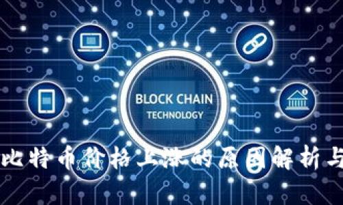区块链和比特币价格上涨的原因解析与投资指南