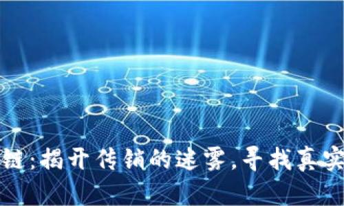 比特币与区块链：揭开传销的迷雾，寻找真实与虚假的界限