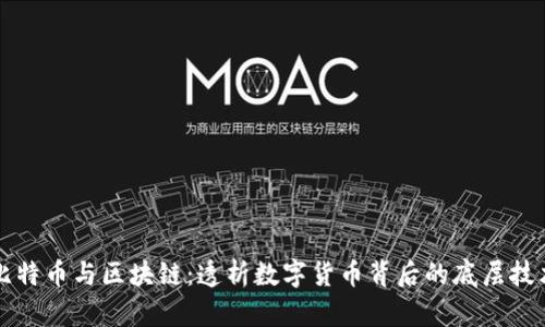 比特币与区块链：透析数字货币背后的底层技术