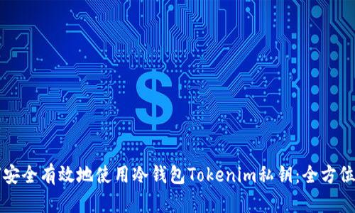 如何安全有效地使用冷钱包Tokenim私钥：全方位指南