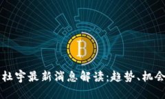 区块链杜宇最新消息解读