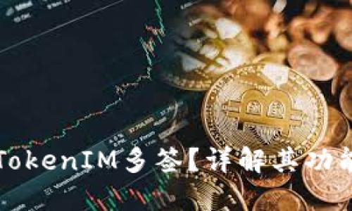 什么是TokenIM多签？详解其功能与应用