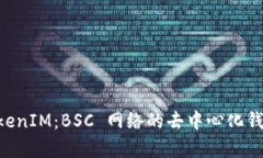 深入解析 TokenIM：BSC 网络