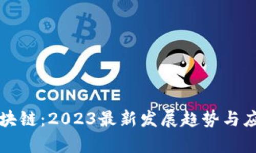 解码区块链：2023最新发展趋势与应用解析