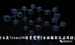 什么是TokenIM能量宽带？全