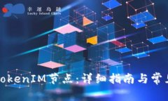 如何添加TokenIM节点：详细