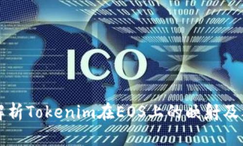 全面解析Tokenim在EOS上的映射及其应用