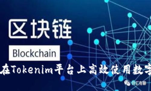如何在Tokenim平台上高效使用数字货币