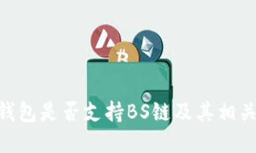 Tokenim钱包是否支持BS链及其相关功能详解
