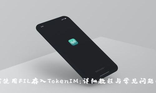 如何使用FIL存入TokenIM：详细教程与常见问题解答