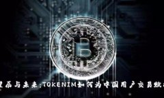 星辰与未来：TOKENIM如何为