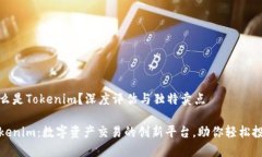 什么是Tokenim？深度评估与
