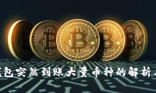 Tokenim钱包突然到账大量币种的解析与应对攻略