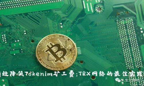 如何有效降低Tokenim矿工费：TRX网络的最佳实践与技巧