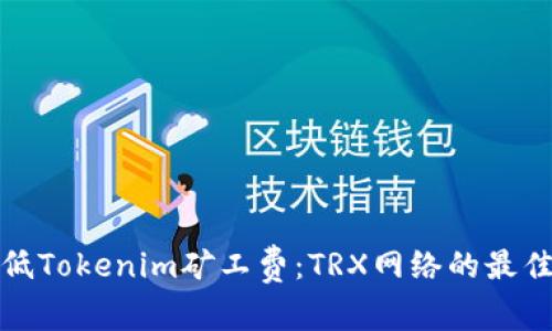 如何有效降低Tokenim矿工费：TRX网络的最佳实践与技巧
