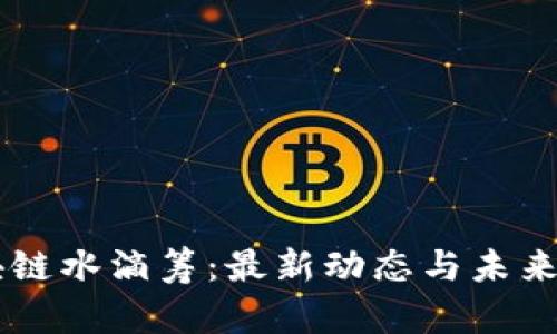 区块链水滴筹：最新动态与未来展望