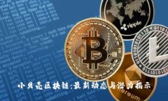 小贝壳区块链：最新动态与潜力揭示
