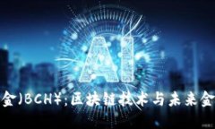 比特币现金（BCH）：区块链技术与未来金融的结