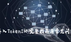 如何导入TokenIM：完整指南