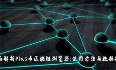 全面解析Plus币区块链浏览