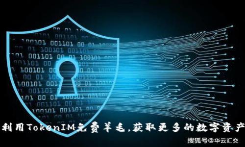 如何利用TokenIM免费羊毛，获取更多的数字资产收益