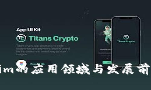 Tokenim的应用领域与发展前景分析