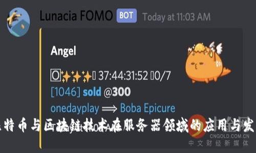比特币与区块链技术在服务器领域的应用与发展