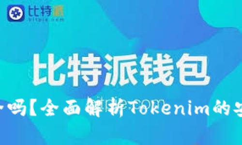 Tokenim安全吗？全面解析Tokenim的安全性与风险