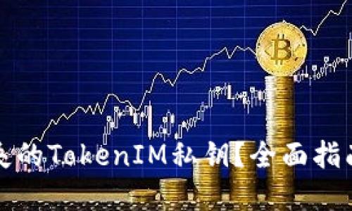 如何找回丢失的TokenIM私钥？全面指南与解决方案