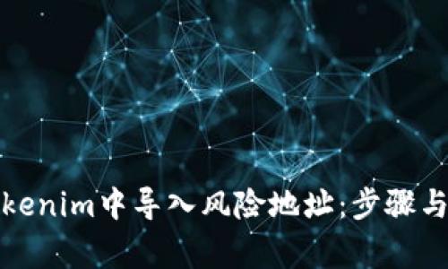 如何在Tokenim中导入风险地址：步骤与注意事项