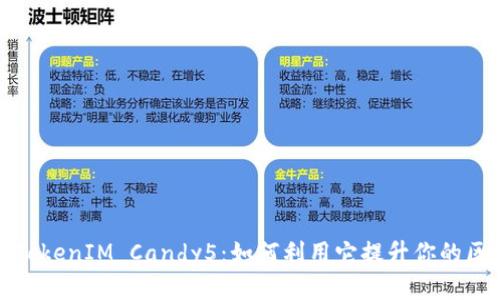 深入解析TokenIM Candy5：如何利用它提升你的区块链体验