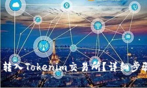 如何将FIL币转入Tokenim交易所？详细步骤与注意事项