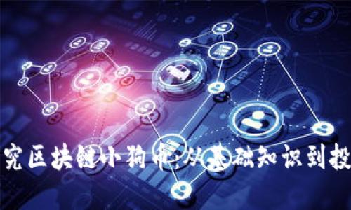 深入探究区块链小狗币：从基础知识到投资机会