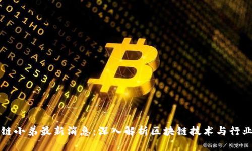 区块链小弟最新消息：深入解析区块链技术与行业动态