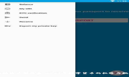区块链币圈风暴：2023年数字货币的机遇与挑战