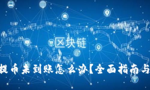 tokenim提币未到账怎么办？全面指南与解决方案